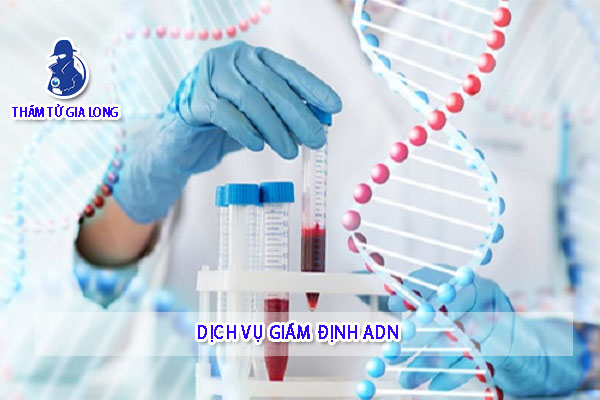 DỊCH VỤ THÁM TỬ GIÁM ĐỊNH ADN – HUYẾT THỐNG : Câu Chuyện Nghi Ngờ Con Riêng Của Tình Địch