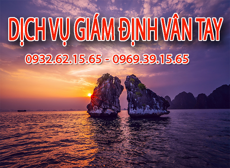 Dịch vụ giám định dấu vân tay chất lượng tại Play - Ku